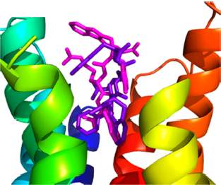 Aia peptide 2 with hMC5R
