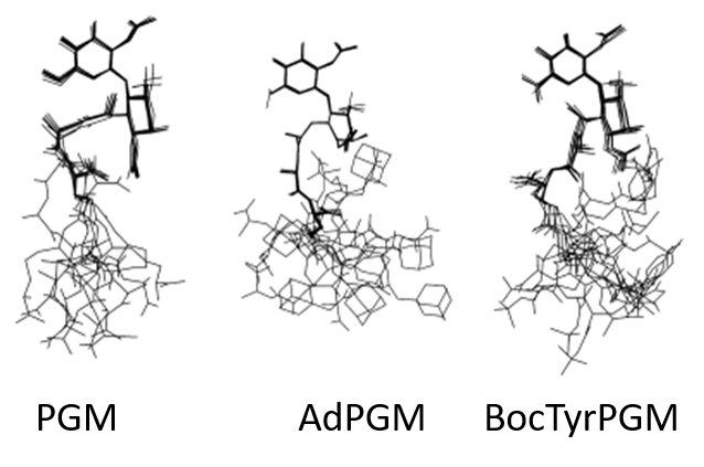 PGM conformers